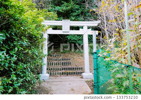池部富士淺間神社 池部富士淺間神社 133753210