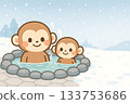 Hot spring monkey winter snow scene 133753686
