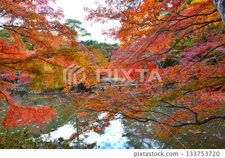 Autumn of Rokko Mountain Autumn of Rokko Mountain 133753720