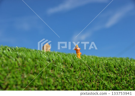 一位女士正在用相機拍照的圖片 133753941