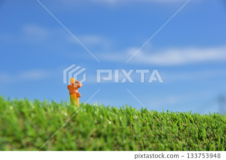 一位女士正在用相機拍照的圖片 133753948