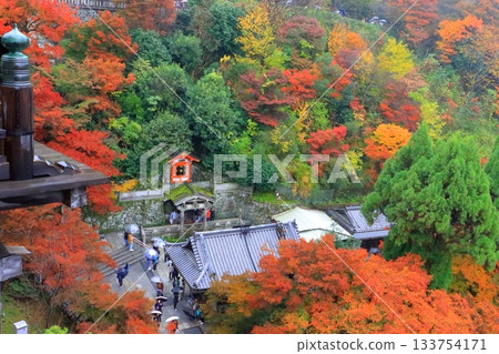 秋日的清水寺(從京都市的主殿舞台拍攝) 秋日的清水寺(從京都市的主殿舞台拍攝) 133754171