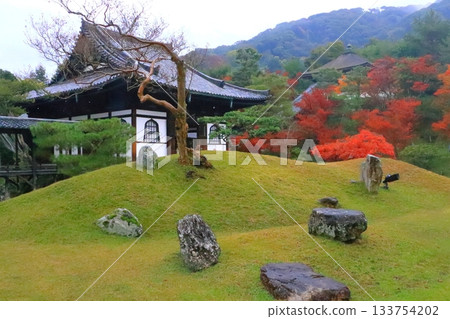 高台寺的秋天(京都市海參道堂) 高台寺的秋天(京都市海參道堂) 133754202