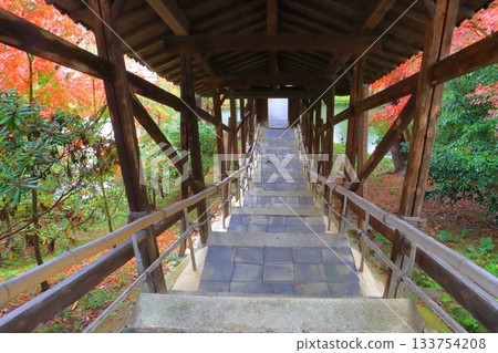 Kodaiji Temple in autumn (Garyuro Corridor, Kyoto City) Kodaiji Temple in autumn (Garyuro Corridor, Kyoto City) 133754208