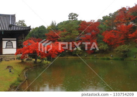 Autumn at Kodaiji Temple (Kaisando Hall, Garyu Pond, Kyoto City) Autumn at Kodaiji Temple (Kaisando Hall, Garyu Pond, Kyoto City) 133754209