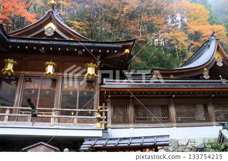 Autumn at Kifune Shrine (head shrine, Kyoto City) 133754215