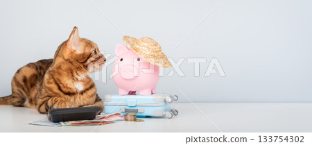 Bengal cat with a calculator and a piggy bank Bengal cat with a calculator and a piggy bank 133754302