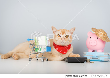 A Burmese cat with a cart of money, a calculator, and a vacation piggy bank 133754304