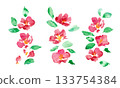 Japanese-style New Year's card frame with camellia flowers. Watercolor painting. Vector Japanese-style background with a watercolor touch. 133754384