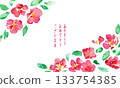 Japanese-style New Year's card frame with camellia flowers. Watercolor painting. Vector Japanese-style background with a watercolor touch. 133754385