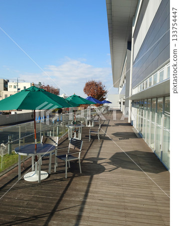 Large sunshades Large sunshades (parasols and umbrellas) lined up on a wooden deck under the clear blue autumn sky 133754447