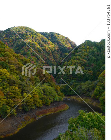 Autumn leaves around Arakawa Dam 133754561