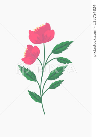 Beautiful blooming pink flower with green leaves isolated on white background 133754824