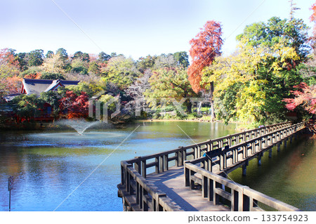 Inokashira公園秋葉 Inokashira公園秋葉 133754923