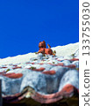 Red tiled roofs and simple shisa lions against the blue sky (Okinawa) 133755030
