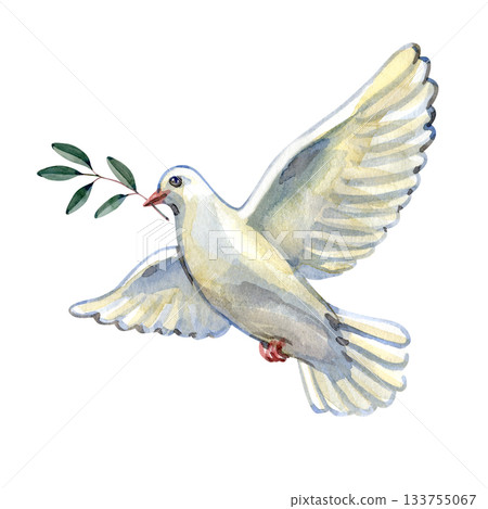 Watercolor illustration of a white dove carrying an olive branch, symbolizing peace, hope, and reconciliation. Ideal for spiritual projects, celebration cards, church graphics, and inspirational Watercolor illustration of a white dove carrying an olive branch, symbolizing peace, hope, and reconciliation. Ideal for spiritual projects, celebration cards, church graphics, and inspirational 133755067