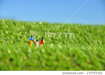 Image of a parent and child walking hand in hand Image of a parent and child walking hand in hand 133755101