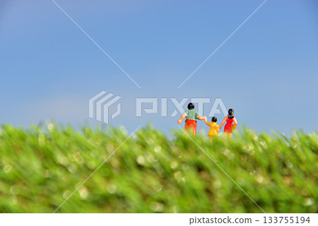 Image of a parent and child walking hand in hand Image of a parent and child walking hand in hand 133755194