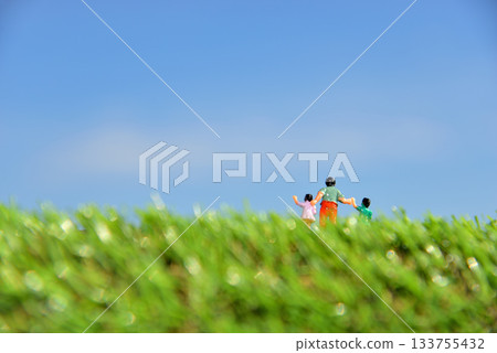 Image of a parent and child walking hand in hand 133755432