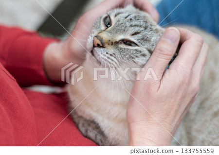 抱一隻貓 133755559