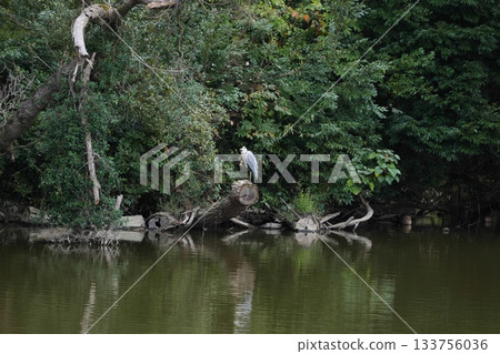 Narita City Walk 133756036