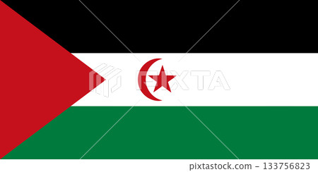 Flag of the Sahrawi Arab Democratic Republic Flag of the Sahrawi Arab Democratic Republic 133756823