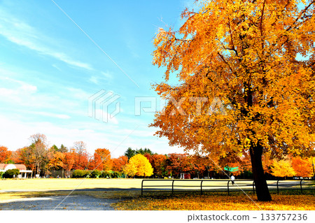 光丘公園田徑場（東京都練馬區）[2025年11月] 133757236
