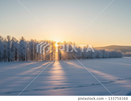 Hokkaido winter snow scene 133758168