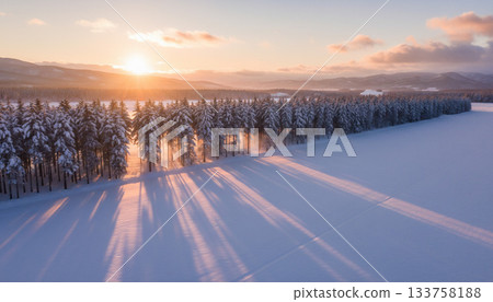 Hokkaido winter snow scene 133758188