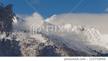 Aerial photo of snowy alpine peaks in Austria with a glacier rising through morning mist. Blue sky, sunlight, and conifer forests in the foreground create a peaceful winter atmosphere. Aerial photo of snowy alpine peaks in Austria with a glacier rising through morning mist. Blue sky, sunlight, and conifer forests in the foreground create a peaceful winter atmosphere. 133758949