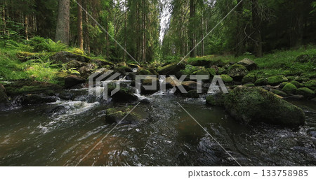 Forest stream with clear flowing water and soft birdsong. Relaxing natural ambience captured in a peaceful woodland setting, perfect for meditation and nature themes. Forest stream with clear flowing water and soft birdsong. Relaxing natural ambience captured in a peaceful woodland setting, perfect for meditation and nature themes. 133758985