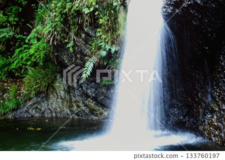A waterfall landscape in Minano Town, Chichibu District, Saitama Prefecture (photographed 20-30 years ago) A waterfall landscape in Minano Town, Chichibu District, Saitama Prefecture (photographed 20-30 years ago) 133760197
