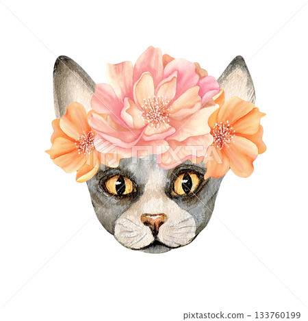 Sphynx cat head with flowers. Sphinx hairless animal with peony. Cute grey floral kitty. Watercolor isolated clip art. Hand drawn character illustration for card, fashion spring textile, stationery Sphynx cat head with flowers. Sphinx hairless animal with peony. Cute grey floral kitty. Watercolor isolated clip art. Hand drawn character illustration for card, fashion spring textile, stationery 133760199
