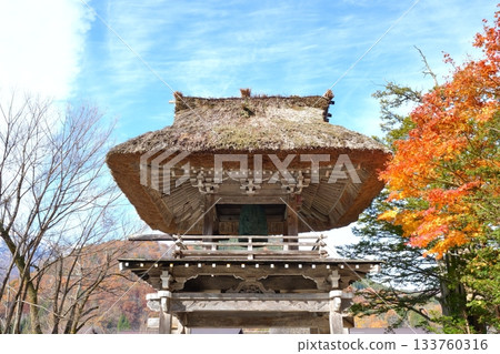 岐阜縣白川鄉妙善寺茅草鐘樓大門，秋葉飄落，晴空萬裡 [十一月] 133760316