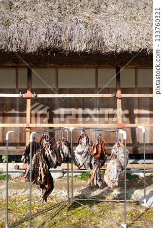 Dried magnolia leaves in the garden of a gassho-style house in Shirakawa-go, Gifu Prefecture, with a thatched roof in the background [November] 133760321