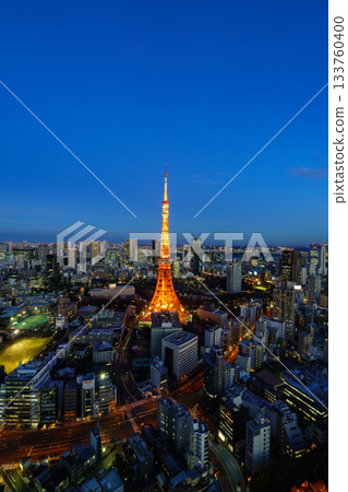 Tokyo night view panorama with Tokyo Tower shining at night 133760400