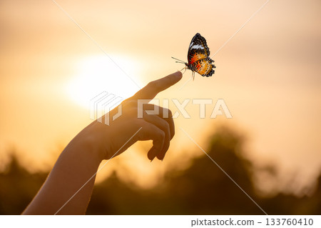 Butterfly Resting on Finger Tip Against Golden Sunset Sky. Butterfly resting finger tip hand touch freedom inspiration nature concept hope serenity golden sunset sunrise silhouette sky background anim Butterfly Resting on Finger Tip Against Golden Sunset Sky. Butterfly resting finger tip hand touch freedom inspiration nature concept hope serenity golden sunset sunrise silhouette sky background anim 133760410
