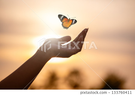 Butterfly Resting on Finger Tip Against Golden Sunset Sky. Butterfly resting finger tip hand touch freedom inspiration nature concept hope serenity golden sunset sunrise silhouette sky background anim 133760411