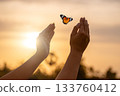 Butterfly Resting on Finger Tip Against Golden Sunset Sky. Butterfly resting finger tip hand touch freedom inspiration nature concept hope serenity golden sunset sunrise silhouette sky background anim 133760412