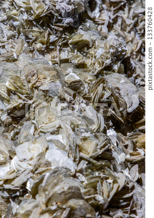 Desert rose mineral in close view shows thin gypsum blades with rosette shapes and soft reflections 133760428