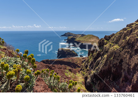 Postcard panorama of Sao Lourenco Madeira with vibrant succulents and cape into Atlantic waters Postcard panorama of Sao Lourenco Madeira with vibrant succulents and cape into Atlantic waters 133760461
