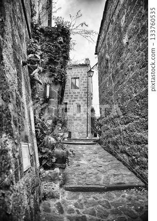 Narrow Stone Alley in Historic Civita di Bagnoregio with Lush 133760535
