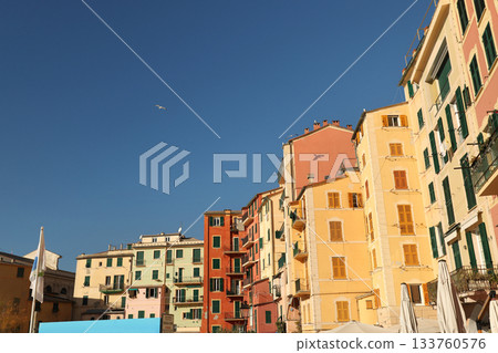 Traditional old buildings in old town, Camogli. Brightly coloured houses and roofs of fishing village, town in Italy. Seagulls in sky. Background for design.  133760576