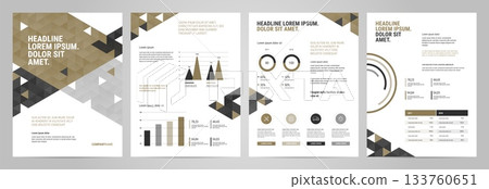 Presentation Template design with infographic 133760651