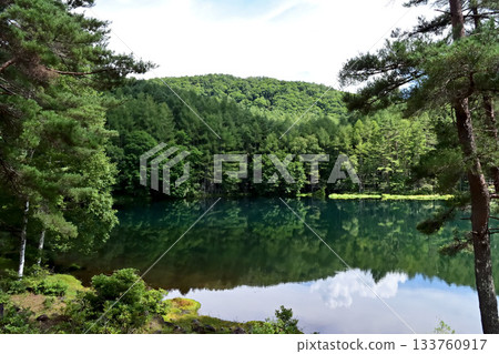 長野縣鯊魚池塘 133760917