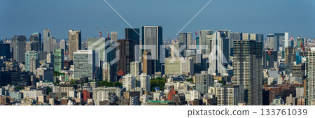 [Cityscape] Daytime view of central Tokyo and Tokyo Tower - A large panorama 133761039