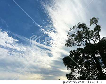 Clouds floating in the autumn sky 133761135