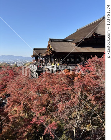 秋天的清水寺01 秋天的清水寺01 133761374