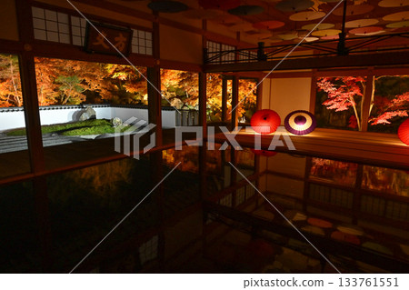 奉德寺的地板楓木燈飾 奉德寺的地板楓木燈飾 133761551