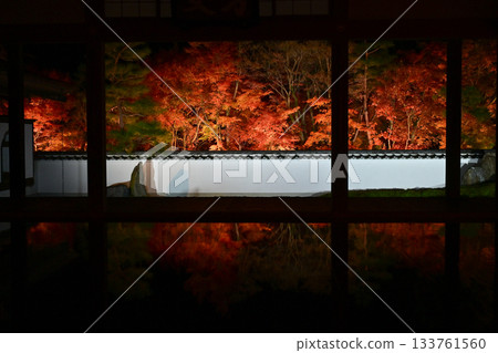 奉德寺的地板楓木燈飾 133761560